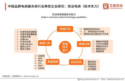 2023年中國品牌電商服務商行業(yè)研究報告 信息技術咨詢服務的價值重塑與趨勢洞察